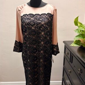 Just...Taylor Black Lace Overlay with Blush Pink Sleeves Long Sleeve Dress